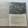 Ve stínu Padišáha 1-6 (1970-1973)