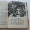 Ve stínu Padišáha 1-6 (1970-1973)