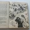 Ve stínu Padišáha 1-6 (1970-1973)