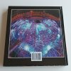 Astronomie a fyzika na přelomu tisíciletí (2004)