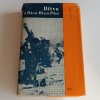 Bitva u Dien Bien Phu (1966)