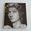 Michelangelo Buonarroti - Život a dílo (2006)