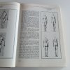 Anatomie pro výtvarníky (1977)