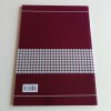 Československé dějiny a evropská politika ve 20. století (2008)