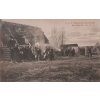 K. u. K. Feldkanonenregiment 5 - Kan.-Mun.-Kol. No. 2