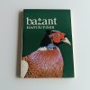Bažant (1975)