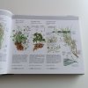 Naše příroda - živočichové a rostliny střední Evropy (2000)