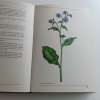Naše rostliny v lékařství (1968)
