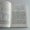 Pes a jeho výcvik (1990)