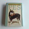 Pes a jeho výcvik (1990)