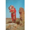 Western indian chief