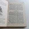 Květy mládeže ročník II. díl I-II. 1-20 (1896)