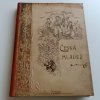 Česká mládež - obrázkový časopis pro mládež  I-II (1898)
