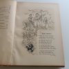 Česká mládež - obrázkový časopis pro mládež  I-II (1898)
