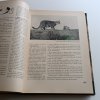 Širým světem - zeměpisný měsíčník 1-10 (1938)