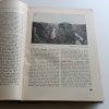 Širým světem - zeměpisný čtrnáctideník 1-20 (1940)