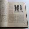 Širým světem - zeměpisný čtrnáctideník 1-20 (1944)