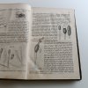 Živa - časopis přírodnický 1-12 (1855)