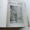 Český svět - ilustrovaný týdeník 1-52 (1907-1908)