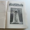 Český svět - ilustrovaný týdeník 27-51 (1908)