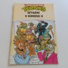 Teenage Mutant Hero Turtles - Setkání v dimenzi X (1992)