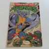 Teenage Mutant Hero Turtles - Boj o sochu svobody 8 (1992)