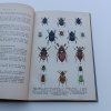 Brouci - Soustavný popis nejdůležitějších českých brouků s návodem