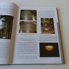 Moderní sakrální stavby církví a náboženských společností na území Čech, Moravy a Slezska (2004)