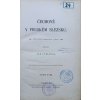 JK282 (14)