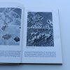 Myxobacteria - Development and Cell Interactions (1984)