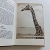 Naše zoo (1952)