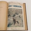 Bratři Kipové I-II (1909-1910) / Malý dobráček I (1910)