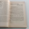 Ročenka Rozhledů po literatuře a umění (1933)