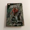 Daredevil - Muž beze strachu! 2 (2011)