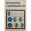 JK4 (20)