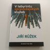 V labyrintu zpravodajských služeb (2014)