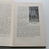 Sebrané spisy Jana Havlasy 21 - Malajské léto (1926)