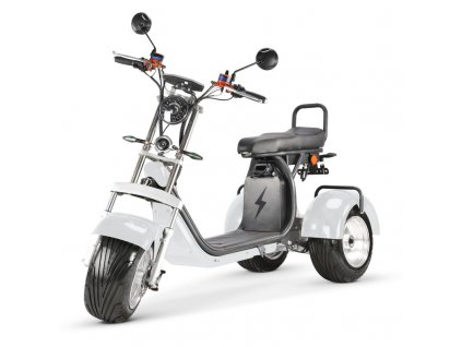 Elektrická tříkolka Zubr 4000 w naklápěcí, vyndavací baterie 20 Ah dojezd 55 km