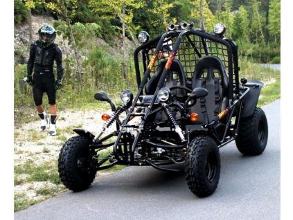 Elektrická buggyna