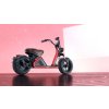 kopie Elektrické koloběžky  N-5 MAX II  Cross 30 Ah dojezd 80km 2000w nebo 3000w oba s COC