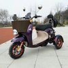 Elektrický skútr tříkolka 1000 W 20 Ah luxusní design dojezd 60 km