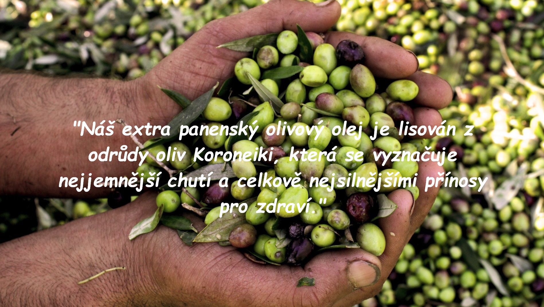 extra panensky