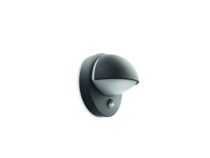 Massive-Philips 16246/93/16 June wall lantern antracit 1x12W 230V