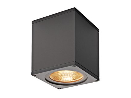 SLV Technik LI234525 BIG THEO, Kültéri fali lámpa