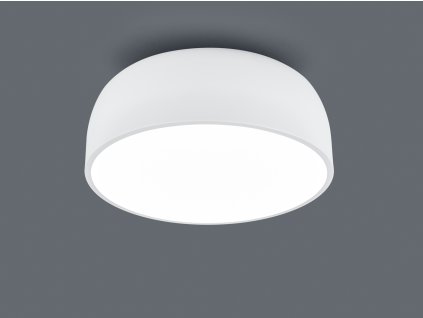 TRIO LIGHTING FOR YOU 609800431 BARON, Mennyezeti lámpa