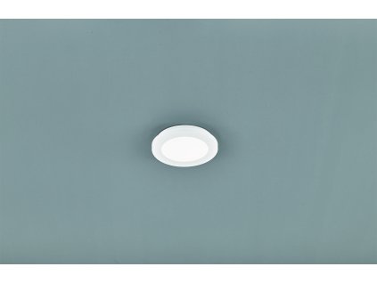 TRIO LIGHTING FOR YOU R62921001 CAMILLUS Mennyezeti lámpa