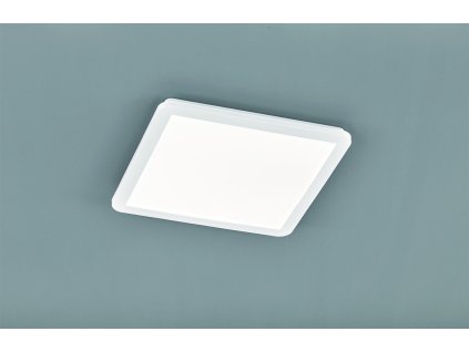TRIO LIGHTING FOR YOU R62932001 CAMILLUS Mennyezeti lámpa