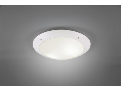 TRIO LIGHTING FOR YOU R60502031 Camaro, Kültéri mennyezeti lámpa