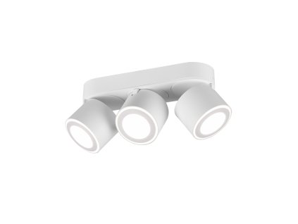 TRIO LIGHTING FOR YOU 652910331 TAURUS, Pontlámpa