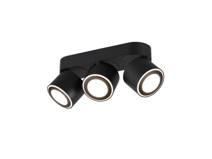 TRIO LIGHTING FOR YOU 652910332 TAURUS, Pontlámpa